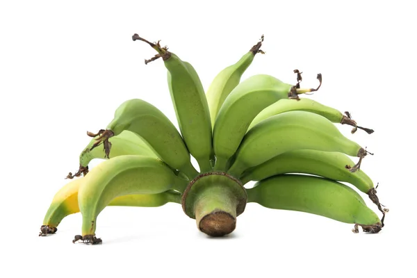 Plátanos verdes aislados sobre fondo blanco — Foto de Stock