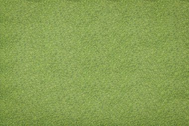 yeşil çim dokusu