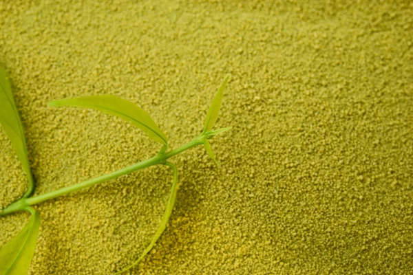 green tea powder with tea leaf