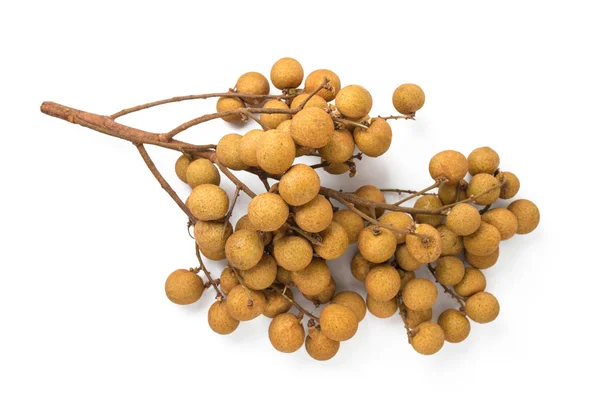 Longan sobre fondo blanco — Foto de Stock