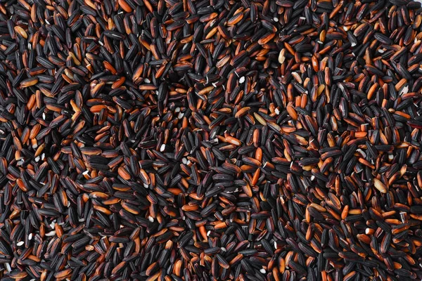 Fondo de bayas de arroz — Foto de Stock