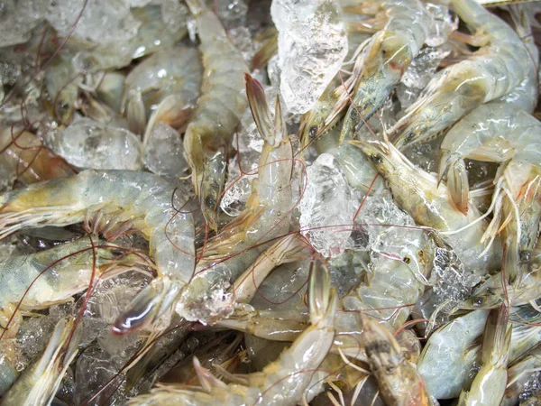 Shrimp in the fresh market — Stock Photo, Image