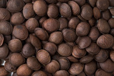 Sacha InChI fıstık