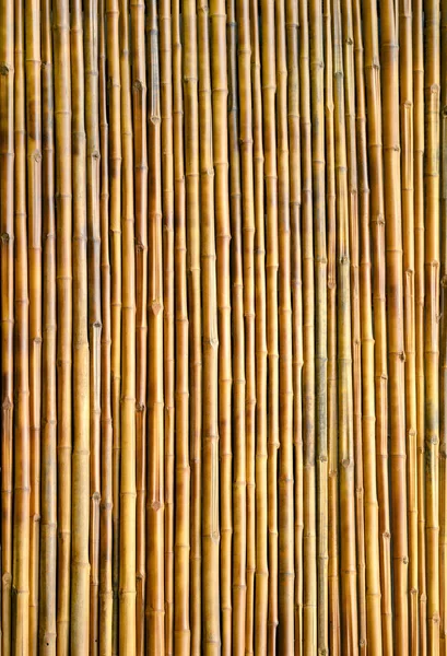 Текстура бамбуковой стены — стоковое фото