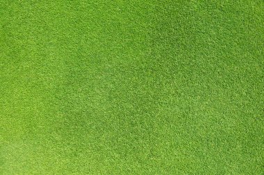 yeşil çim dokusu