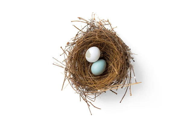 Broken eggs in bird nest — Stock Photo, Image