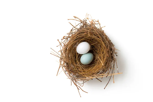 Dois ovos no ninho de pássaros — Fotografia de Stock