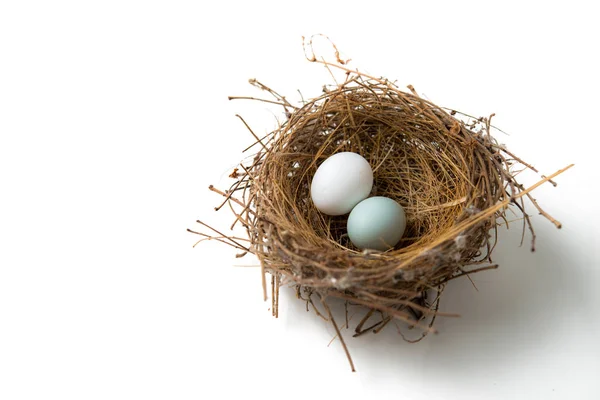 Jaja w gnieździe ptak — Zdjęcie stockowe