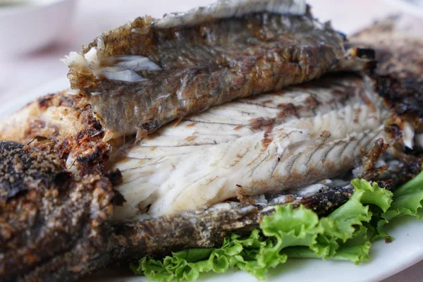 Ryba z grilla snapper z solą — Zdjęcie stockowe
