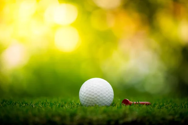 Golfbal met tee op fairway — Stockfoto