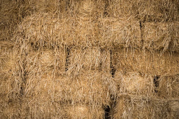 Bloques de heno fondo — Foto de Stock