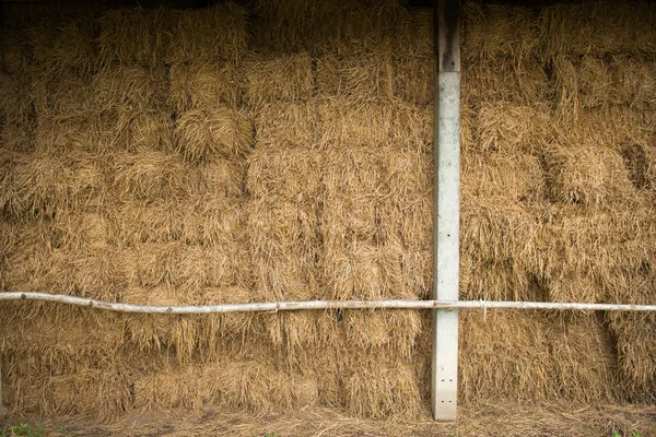 Blocco di fieno sfondo — Foto Stock