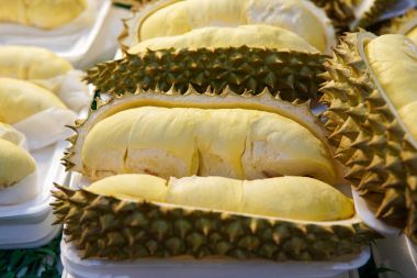Durian içinde tepsi
