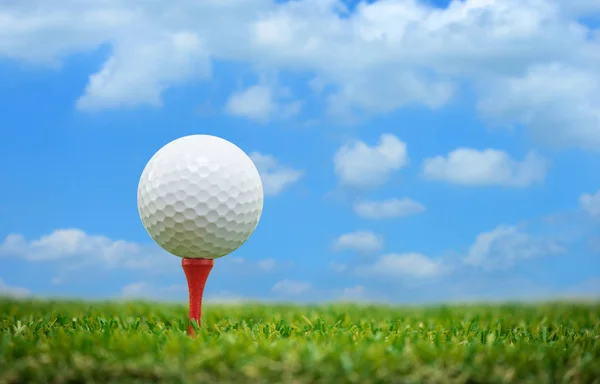 Palla da golf su T — Foto Stock