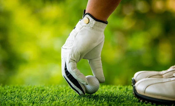 çimenlerin üzerinde topu yerleştirerek