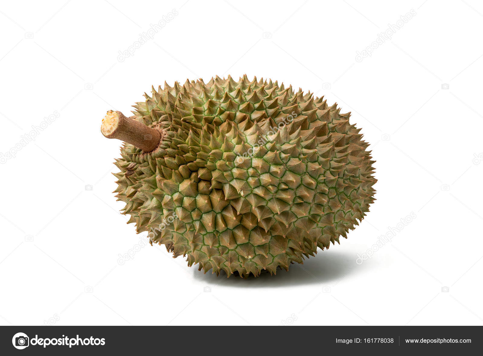Roi De Durian Fruit Isol Sur Blanc Photographie Antpkr 161778038