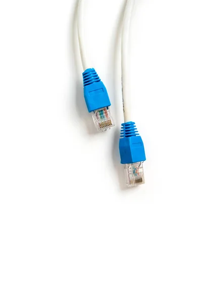 Ağ kablosu ile Rj 45 bağlamak — Stok fotoğraf