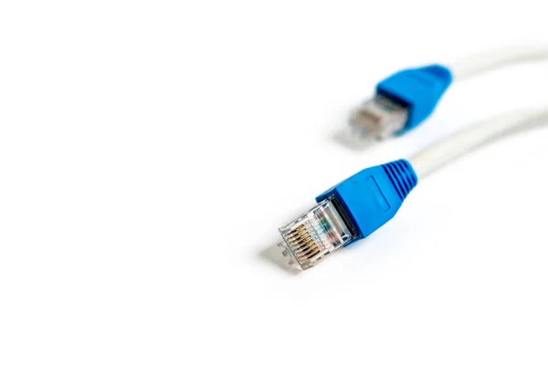 Cabo de rede com conector RJ 45 — Fotografia de Stock