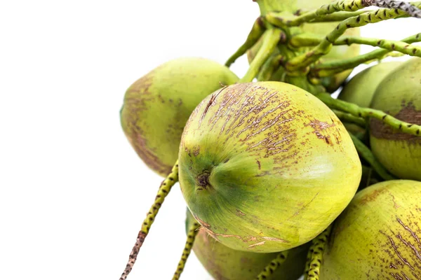 코코넛 무리 흰색 절연 — 스톡 사진