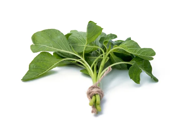 Fresh spinach isolated on white background — Stock Photo, Image