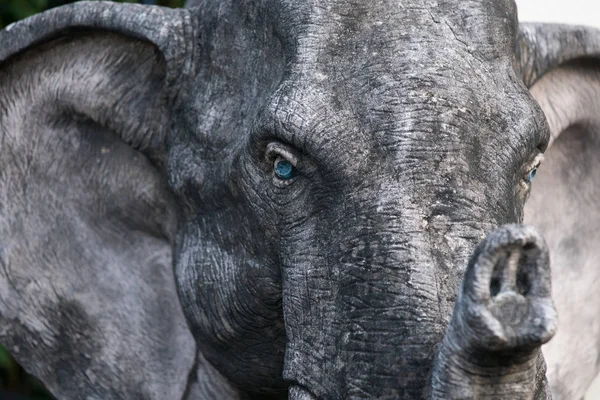 Elefant skulptur øje - Stock-foto