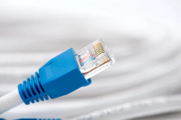 Network cable — Stock Photo, Image