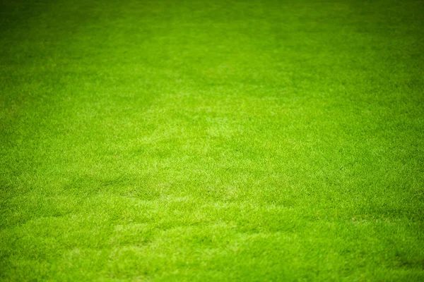 Grass of Sport Field — Stock Photo, Image