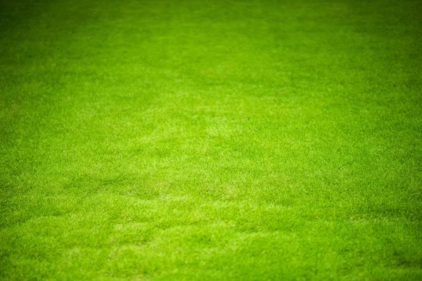 Gras van sport veld — Stockfoto