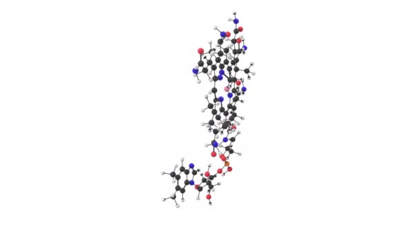 Анімація Молекули Вітаміну B12 Альфа Шаром — стокове відео