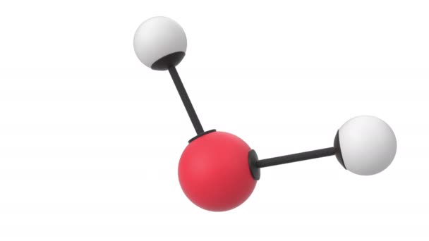 Animação Uma Molécula Água Com Camada Alfa — Vídeo de Stock