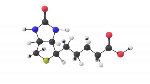 层的维生素B7分子3D动画 — 图库视频影像