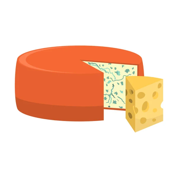 Cabeça de queijo azul e parte da ilustração vetorial de queijo edam — Vetor de Stock