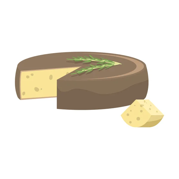 Cabeça de queijo com erva de alecrim fresco sobre ele ilustração vetorial — Vetor de Stock