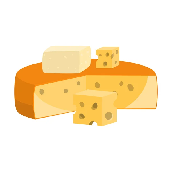 Gouda fresco cabeça de queijo e peças ilustração vetorial — Vetor de Stock