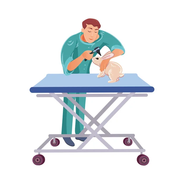 Médico veterinário examinando o coelho na mesa na clínica veterinária. Ilustração colorida vetorial no estilo dos desenhos animados —  Vetores de Stock