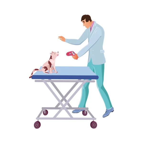 Médico veterinario examinando al perro sobre la mesa en la clínica veterinaria. Vector colorido ilustración en estilo de dibujos animados — Vector de stock