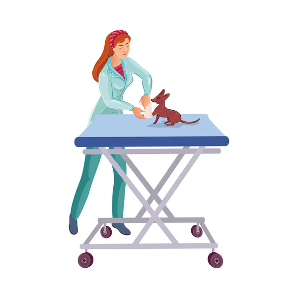 Médecin vétérinaire bandage d'une patte de chien sur la table dans la clinique vétérinaire. Illustration vectorielle colorée en style dessin animé — Image vectorielle