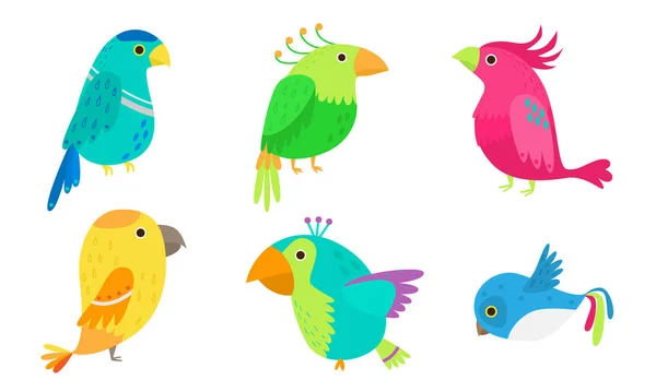 Conjunto de coloridas aves tropicales y loro ilustración vectorial. — Archivo Imágenes Vectoriales