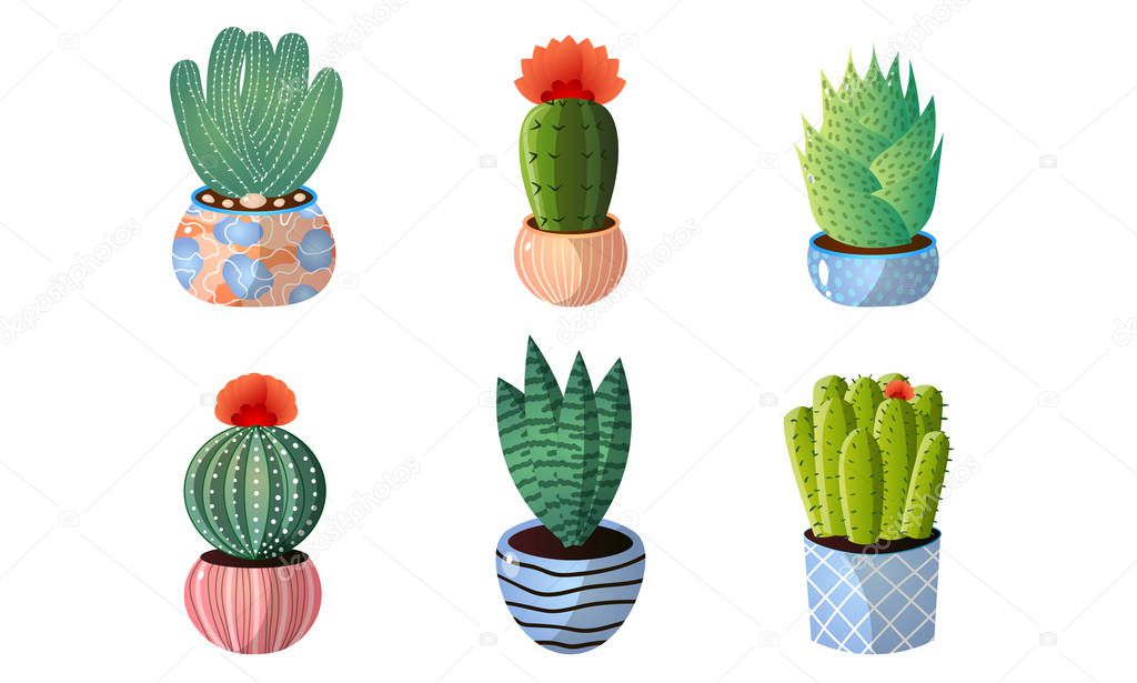 Set of decorative cactuses in pots with spines and blooming flowers. Vector set illustration in flat cartoon style.