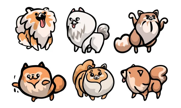 Conjunto de personagens de cachorro spitz bonito em diferentes ações. Ilustração vetorial em estilo de desenho animado plano . — Vetor de Stock