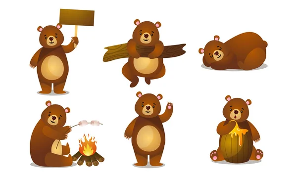 Lindo oso pardo divertido animales haciendo cosas cotidianas vector ilustración — Vector de stock