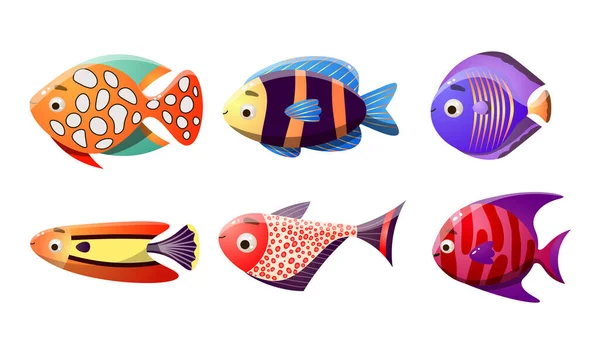 Ensemble de différents poissons de récifs coralliens colorés. Illustration vectorielle dans le style de dessin animé plat . — Image vectorielle