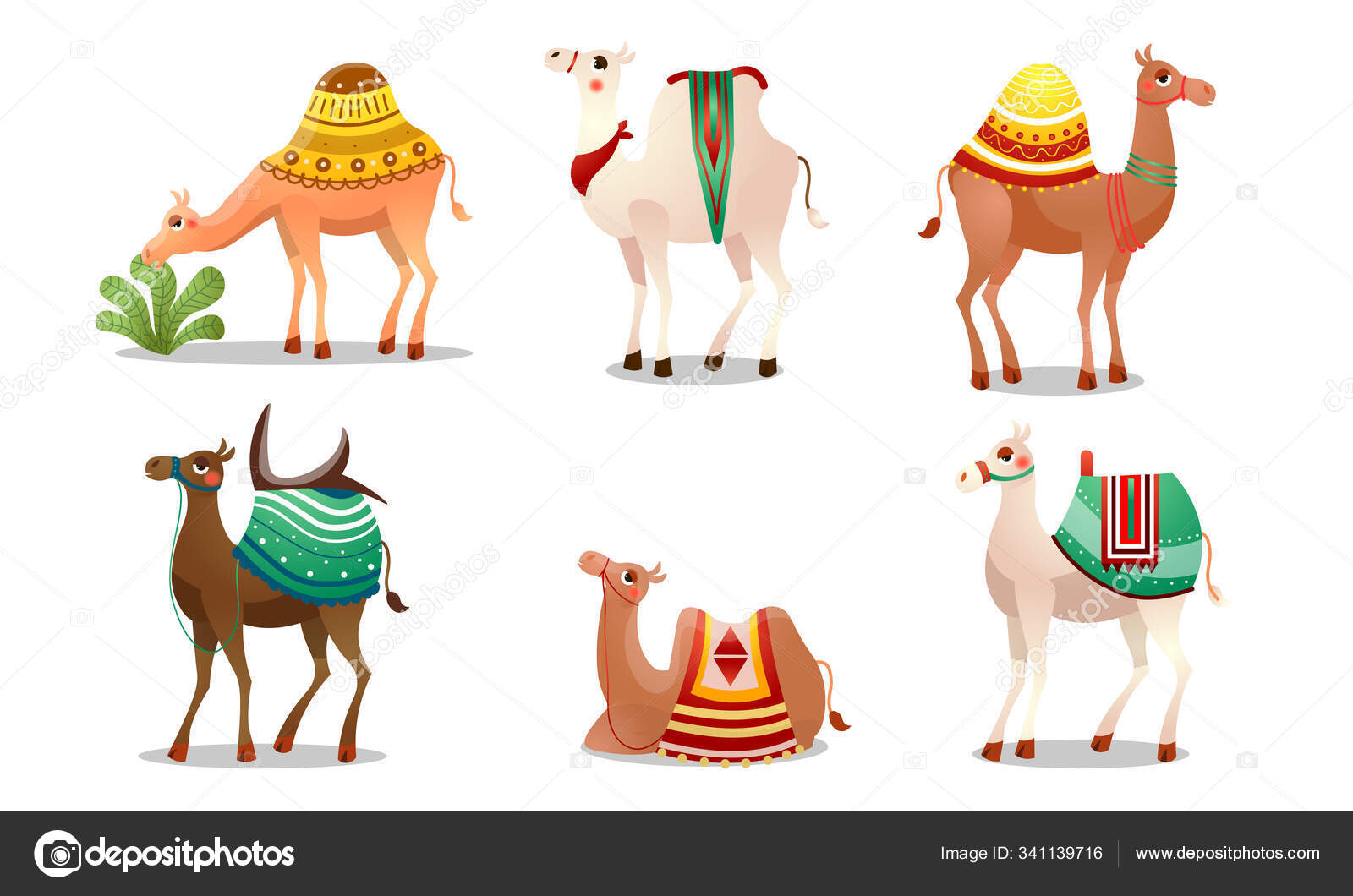 Conjunto de divertidos camellos lindos con mantas coloridas vector  ilustración Vector de stock #341139716 de ©greenpic.studio, image size:1600x1060