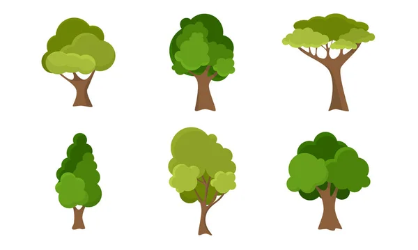 Ensemble d'arbres verts à feuilles caduques fleurissant en été illustration vectorielle — Image vectorielle