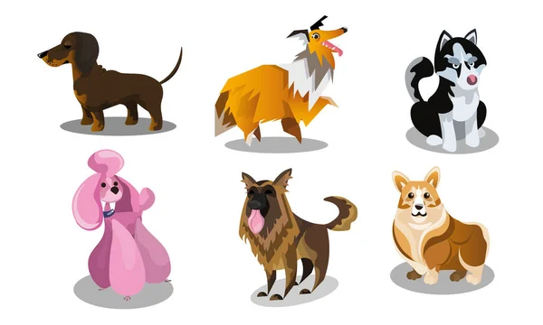 Set of funny cute dogs breeds vector illustration — Stock Vector