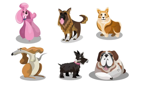 Conjunto de divertido lindo varios perros razas vector ilustración — Vector de stock