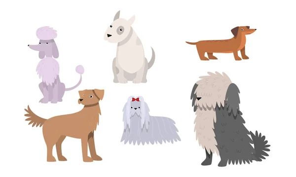 Ensemble de drôles de grands et petits chiens races illustration vectorielle — Image vectorielle