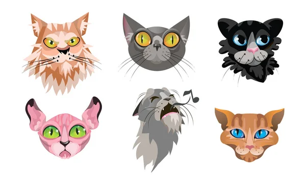 Ensemble de différents visages mignons de chat. Illustration vectorielle en style dessin animé plat . — Image vectorielle