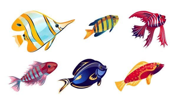 Ensemble de divers poissons de récifs coralliens colorés. Illustration vectorielle dans le style de dessin animé plat — Image vectorielle