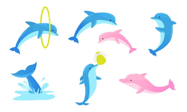 Ensemble de dauphins ludiques colorés effectuant des tours avec anneau et balle. Illustration vectorielle en style dessin animé plat . — Image vectorielle